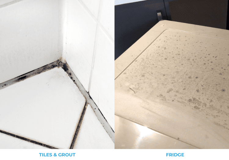 mouldy tiles and grout and fridge sample