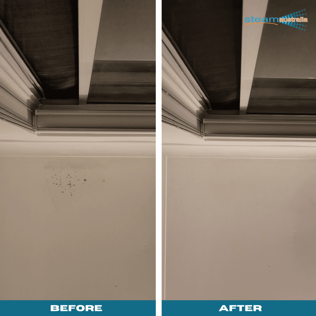 Ceiling Mould before and after