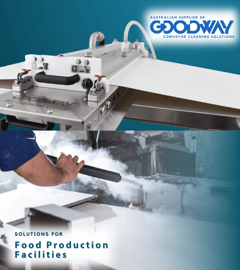 Goodway Food Production Dry Steam Cleaning Conveyor Systems