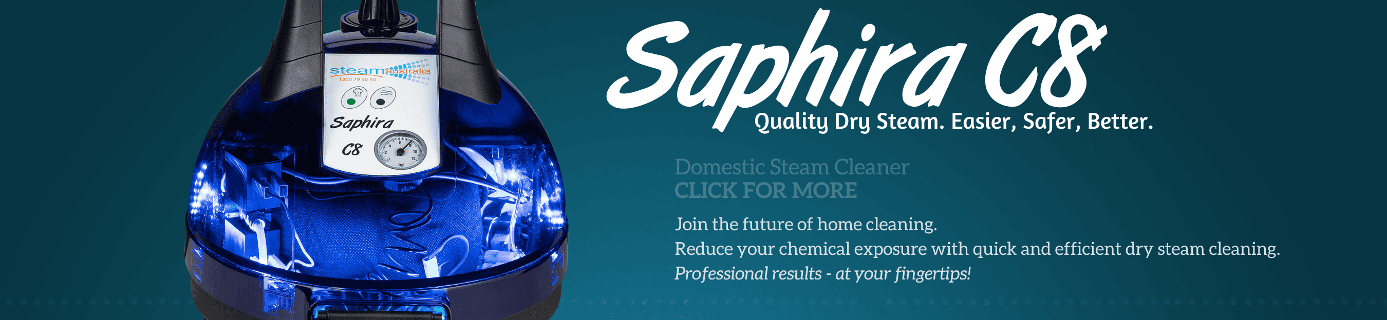 Domestic Dry Steam Cleaning