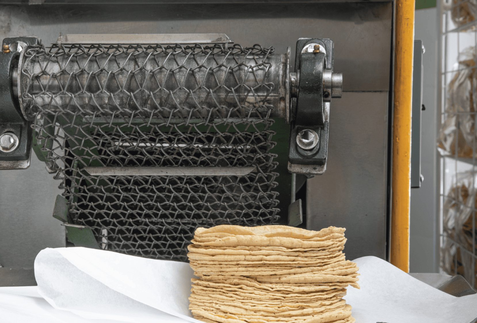 tortilla manufacturing large