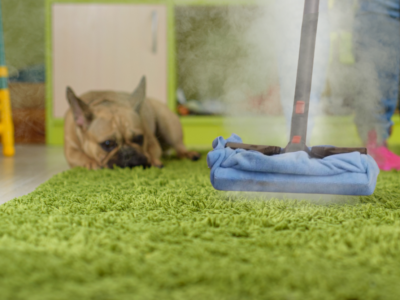 Sanitising Pet Dander allergens in carpet for allergy prone homes
