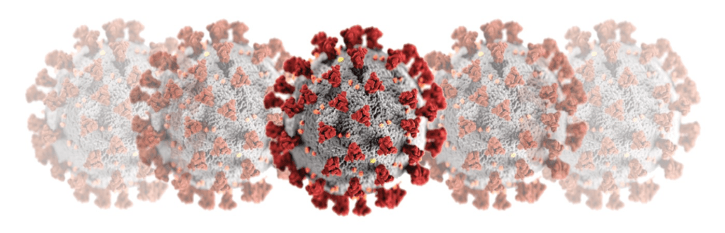 COVID-19 Molecule