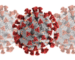 COVID-19 Molecule