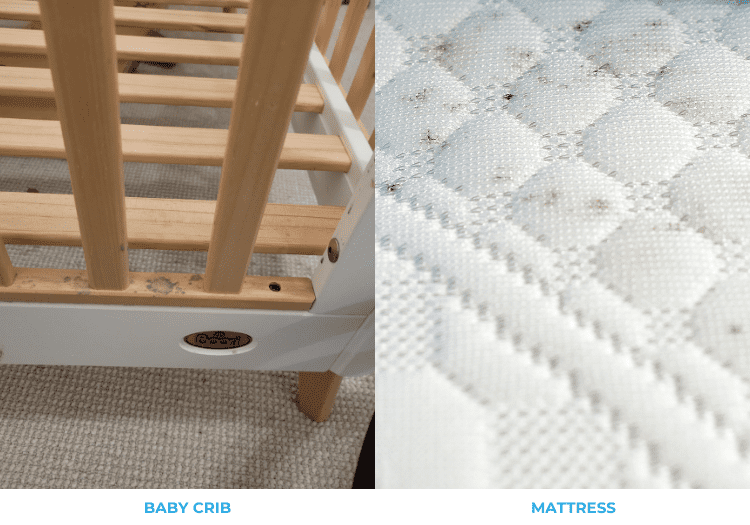 crib and mattress samples