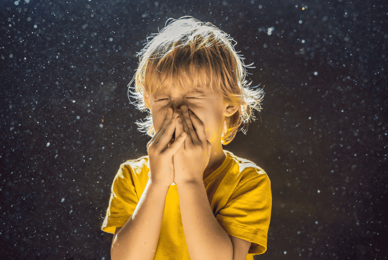 Dust mite allergens sneezing boy